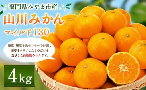 山川 みかん マイルド130 4kg 数量限定