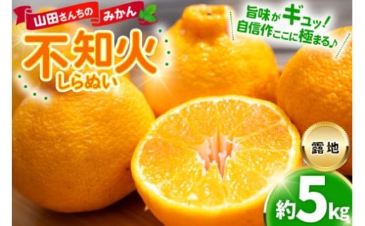 ファン急増中！溢れる果汁、山田さんちの不知火