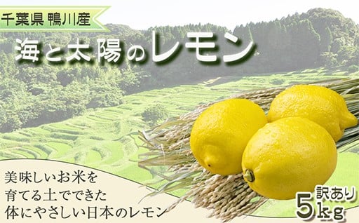 美味しい米の土壌から生まれた安心安全な国産レモン