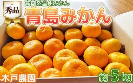 高糖系温州みかん木戸農園の青島 約5kg（秀品）