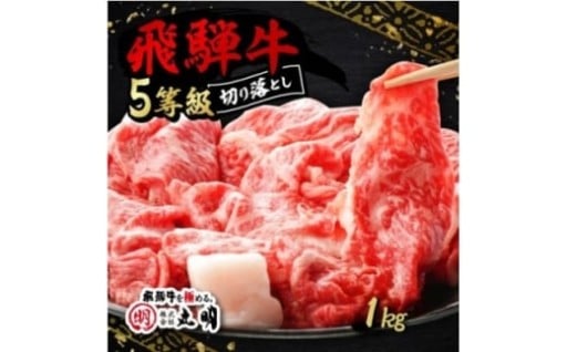 飛騨牛5等級　切り落とし用途いろいろ　1kg