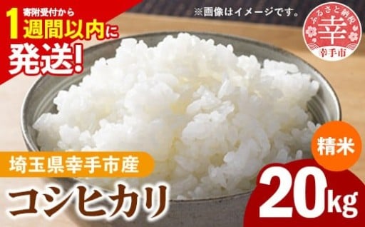 令和7年産 幸手市産 コシヒカリ 白米20kg