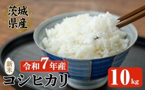 【先行予約】 常陸大宮産 コシヒカリ 10kg 