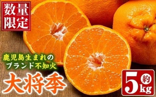 数量限定！鹿児島で生まれたオリジナル品種「大将季」(約5kg・15～24玉) 