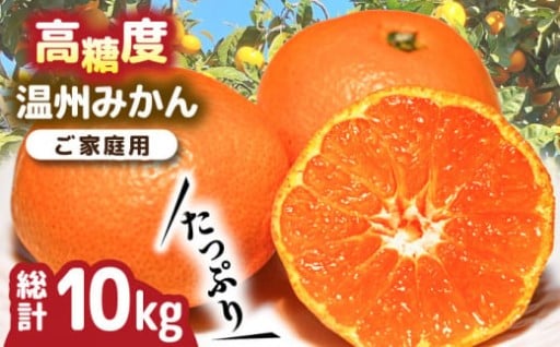 高糖度の南島原産温州みかん 約10kg