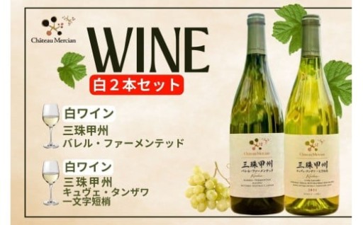 白ワイン 750ml  ２本 セット  750ml 