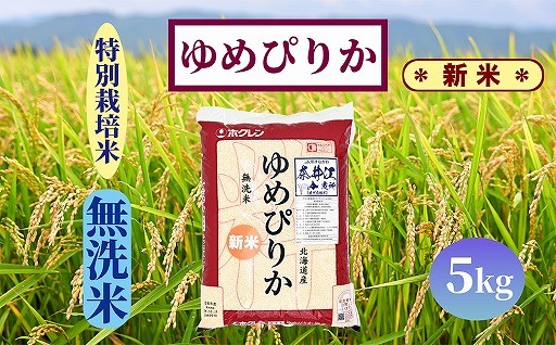 【先行予約終了間近】令和7年度産 「新米」 先行予約受付中！新米を味わうなら先行予約がおすすめです！