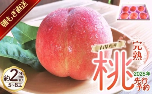 【来年出荷分先行予約】朝もぎ直送!『山梨県産　桃』約5～8玉