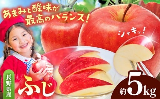 有機肥料栽培 りんご ふじ5kg