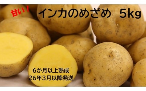 【先行予約】チョイス限定～インカのめざめ～寝かせています	幻のじゃがいも ～インカのめざめ～