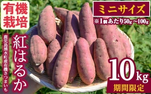 ≪ミニサイズ(1個あたり50g~100g)≫湧水町産有機さつまいも「紅はるか」(計10kg)【そのやま農園】
