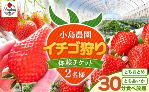 【先行予約】小島農園いちご 狩り チケット 2名 とちひめ とちあいか 食べ放題