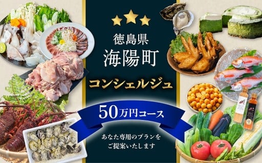海陽町ふるさと納税コンシェルジュサービス