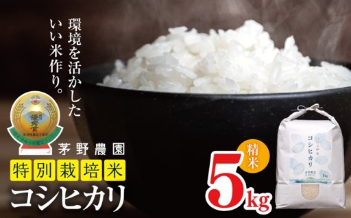 【令和7年度産】コシヒカリ 5kg 特別栽培米
