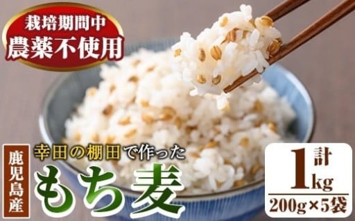 日本棚田百選に選定されている「鹿児島県湧水町幸田棚田のもち麦」200g×5袋(計1kg)！【福永商店】