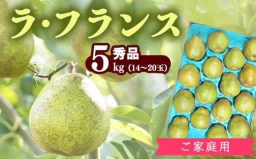 【ご自宅用】山形産 洋梨「ラ・フランス」5kg