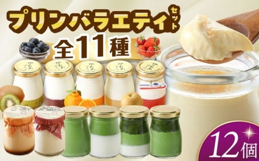 種々様々！シュシュのプリン12個セット