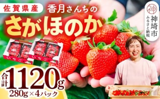 甘みと酸味のバランスが絶妙✨佐賀県産さがほのか🍓