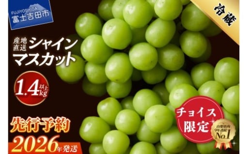 【 チョイス限定 】【2026年発送 先行予約】高級 山梨県産 シャインマスカット 2～3房 （1.4kg以上）