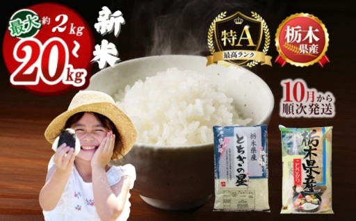 下野市産コシヒカリ とちぎの星 2kg～20kg【選べる品種・数量】【2025年10月より順次発送】