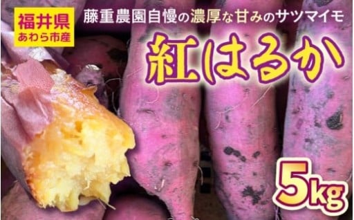 【高糖度】ねっとりしっとり食感🍠熟練技術の栽培🌱