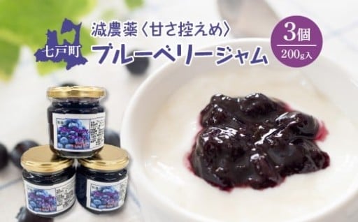 減農薬 甘さ控えめブルーベリージャム 200g×3個