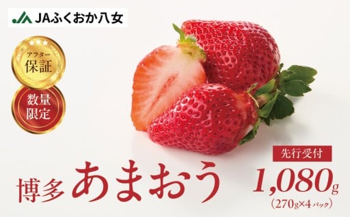 【先行受付 2026年2月発送開始】博多あまおうＧ270g×4パック｜ＪＡふくおか八女