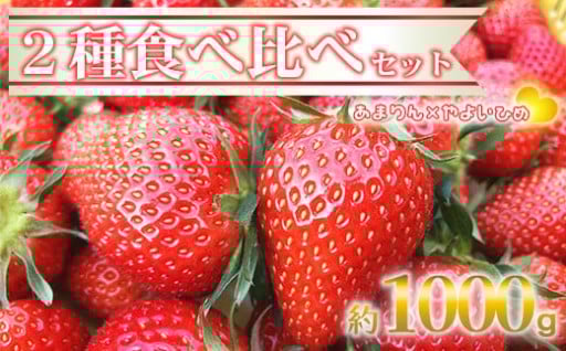 ＜先行予約＞深谷市産 あまりん・やよいひめ 食べ比べ