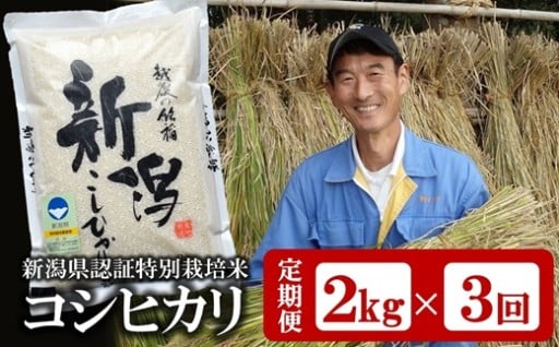 【1月～発送】コシヒカリ白米2kg×3回定期便