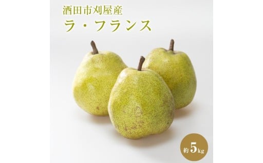 酒田の美味しいラ・フランス(洋梨) 秀品約5kg🍐