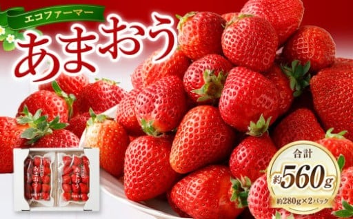 【2026年1月発送】 エコファーマー あまおう 約280g×2パック 計560g