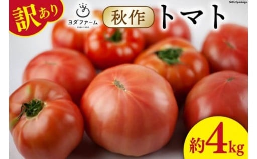 【2025年発送】 秋作 訳あり 桃太郎トマト 約4kg
