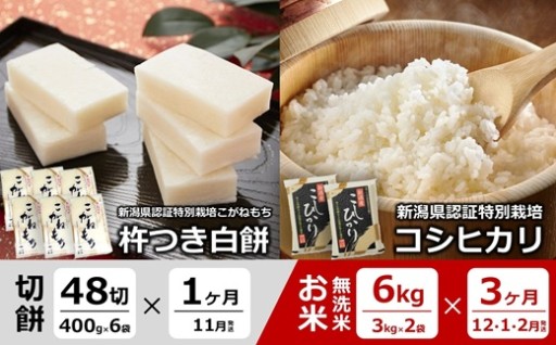 NEW【定期便】杵つき白餅＆コシヒカリ無洗米