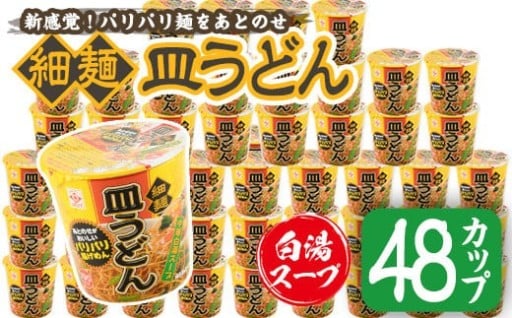 パリパリ食べても美味しい♪カップ皿うどん(41.3g×48個)