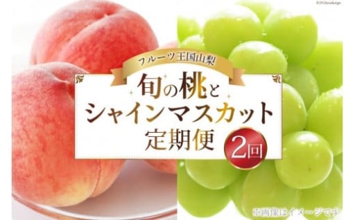 【期間限定発送】旬の桃とシャインマスカットの2回定期便