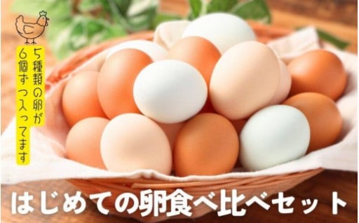 はじめての卵　食べ比べセット 6個×5種類(内割れ保証5個、各種1個づつ)