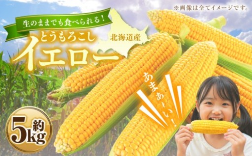 とうもろこし イエロー 約5kg