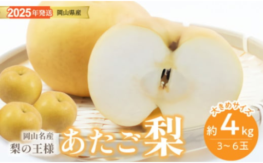 【2025年‼️発送分 先行受付スタート】岡山名産 あたご梨 　秀品　約4kg（3～6玉）🍐
