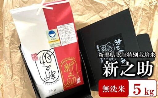 【R7年産新米】特別栽培米 新之助 無洗米5kg
