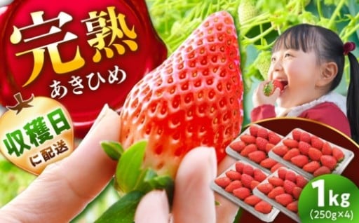 苺狩りの美味しさをそのままお届け！