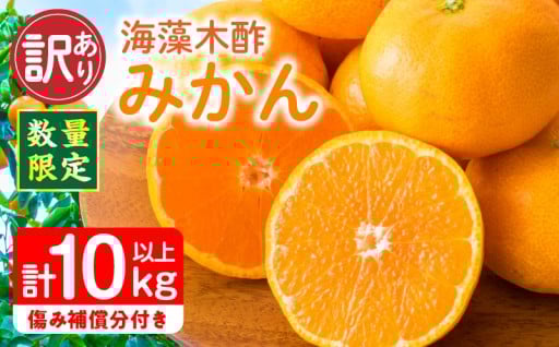 ＼毎年大人気の特産品！／海藻木酢みかん🍊