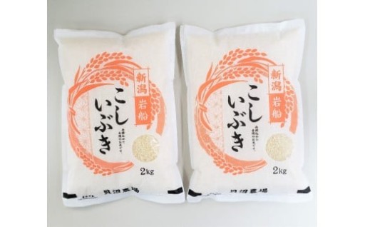 【令和7年産米】 こしいぶき 白米4kg（2kg×2） 新潟県村上市岩船産