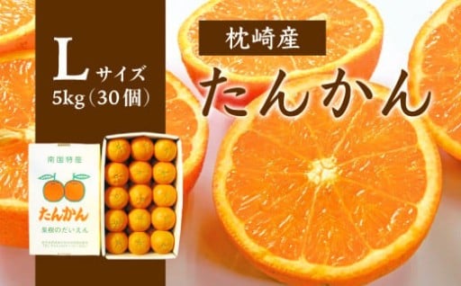 ＜Lサイズ＞南国特産もぎたて たんかん 5kg＜先行受付＞2月下旬より順次発送 A8-121