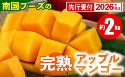【先行受付】南国フーズの完熟アップルマンゴー 約2kg【2026年発送】