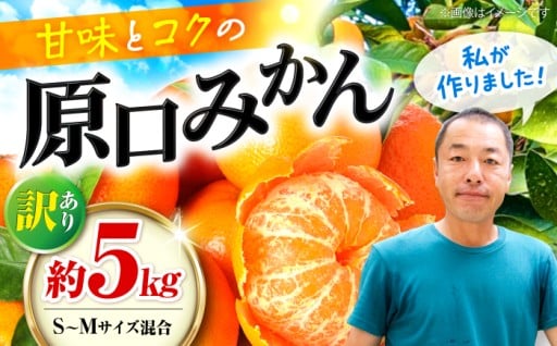 訳あり】 原口みかん 約 5kg（S～Mサイズ混合） ＜山田果樹園＞ [CCX009]