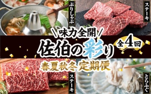 ＜先行予約受付中！2026年1月中旬より配送開始予定＞＜定期便・全4回＞味力全開！佐伯の彩り 春夏秋冬 定期便