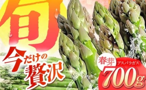 年に一度の旬！春芽アスパラ