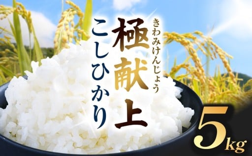 極献上 こしひかり 5kg