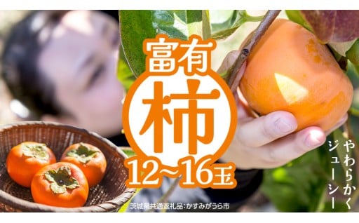 甘柿の代表格「富有柿」の季節です🍂