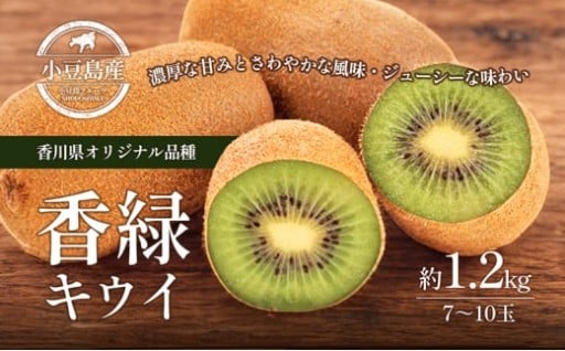 先行予受付中！香緑キウイ約1.2kg